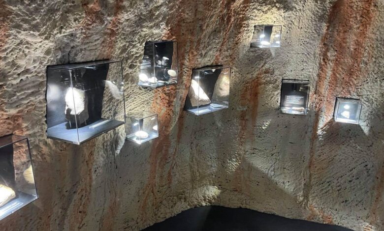 museo grotta paglicci