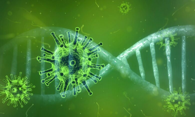 coronavirus