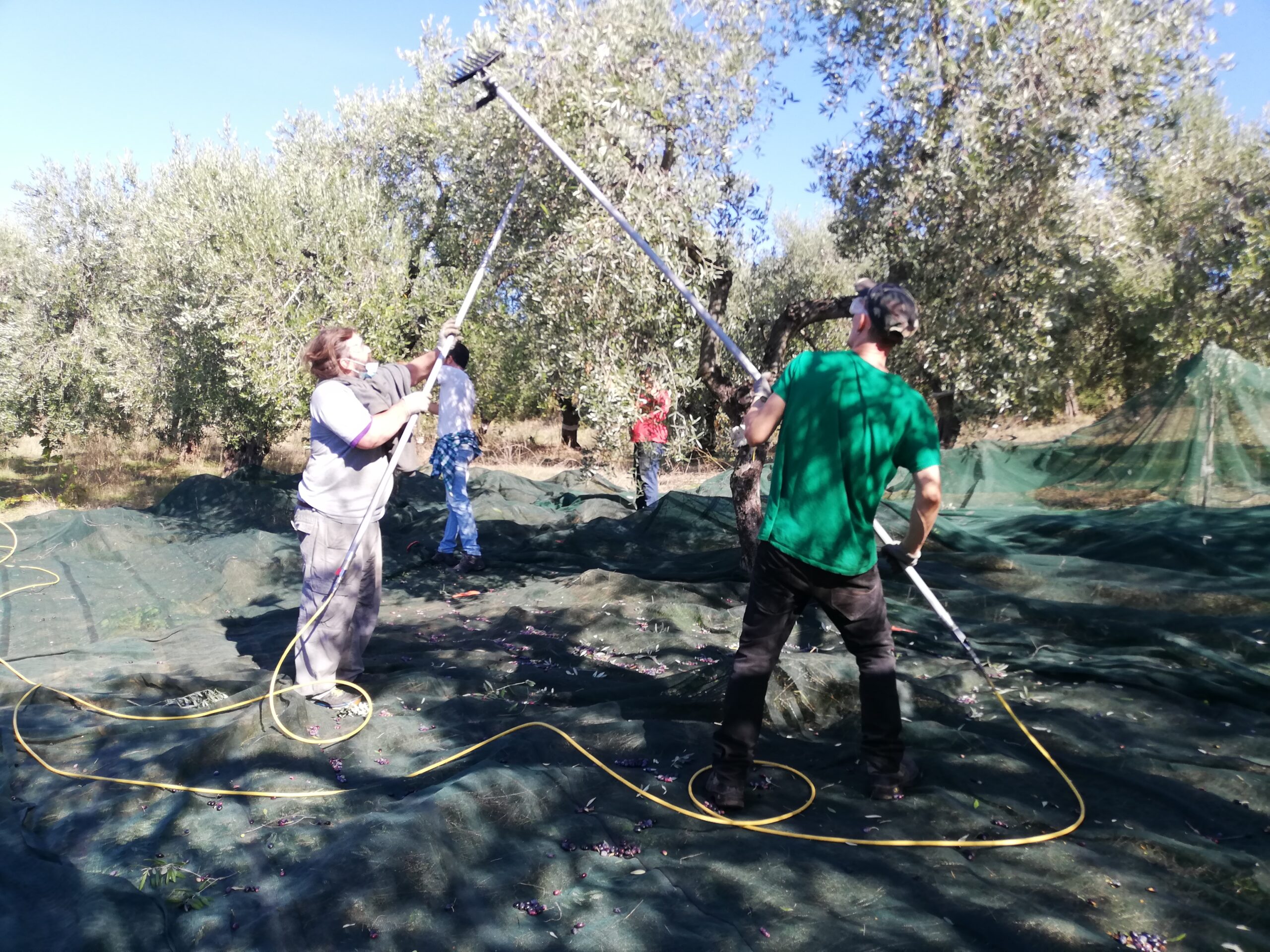 Agricoltura sociale san severo