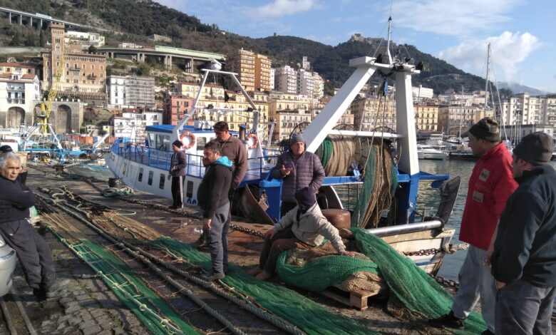 Photo of I pescatori pugliesi dicono no alla guerra. Scognamiglio: “Gravi ripercussioni sul mercato ittico”