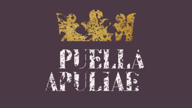 Photo of Puella Apuliae, nasce la prima birra 100% origine Puglia. L’omaggio di Michele Solimando a Federico II di Svevia
