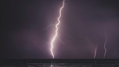 lightning fork striked