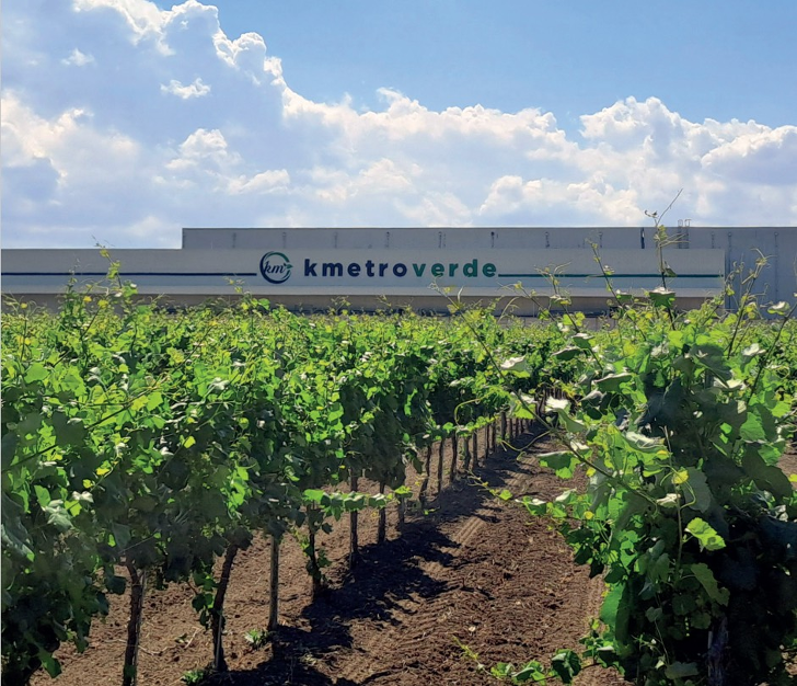 kmetroverde