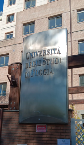 Università